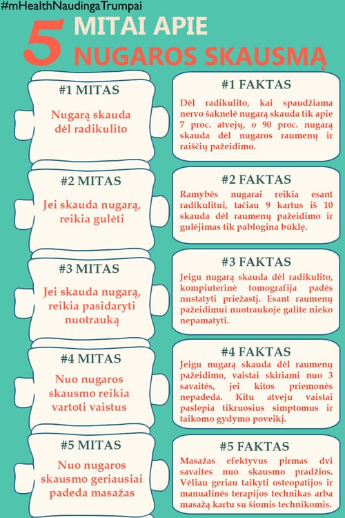 mitai apie nugaros skausma infografija